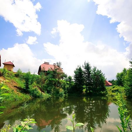 Villa Buhiv Skhidnytsia ภายนอก รูปภาพ