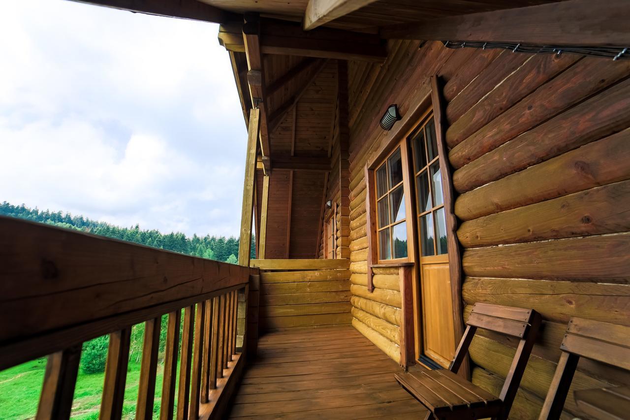 Villa Buhiv Skhidnytsia ภายนอก รูปภาพ